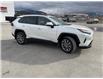2022 Toyota RAV4 XLE (Stk: W257554K) in Cranbrook - Image 7 of 20