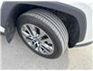 2022 Toyota RAV4 XLE (Stk: W257554K) in Cranbrook - Image 20 of 20