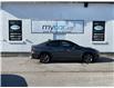 2023 Subaru WRX Base (Stk: 260124) in Kingston - Image 2 of 21
