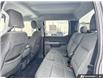 2024 Ford F-150 XLT (Stk: PS2146) in Grande Prairie - Image 23 of 25