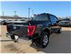 2022 Ford F-150  (Stk: F1410B) in Miramichi - Image 5 of 13