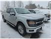 2024 Ford F-150 XLT (Stk: 22287A) in Grand Falls-Windsor - Image 3 of 7