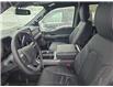 2024 Ford F-150 XLT (Stk: 22287A) in Grand Falls-Windsor - Image 5 of 7