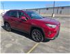 2023 Toyota RAV4 Hybrid Limited (Stk: 3500A) in Sarnia - Image 5 of 9