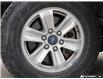 2017 Ford F-150 XLT (Stk: 6172A) in St. Thomas - Image 6 of 27