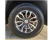 2021 GMC Sierra 1500 AT4 (Stk: 69682A) in Sudbury - Image 4 of 20