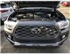2021 Toyota Tacoma Base (Stk: 065826) in Ottawa - Image 25 of 25