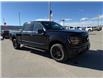2026 Ford F-150 XLT (Stk: 6T020) in Williams Lake - Image 7 of 13