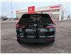 2026 Honda CR-V Sport (Stk: 4194) in Lethbridge - Image 4 of 23