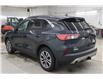 2022 Ford Escape SEL Hybrid (Stk: S1681B) in Watrous - Image 6 of 36
