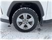 2024 Toyota RAV4 XLE (Stk: 260168) in Kingston - Image 22 of 22