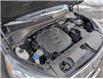 2019 Kia Sorento  (Stk: 251284A) in Ottawa - Image 33 of 36