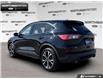 2021 Ford Escape SE (Stk: 5F14925A) in Brantford - Image 4 of 24 2021 Ford Escape SE (Stk: 5F14925A) in Brantford - Image 4 of 24