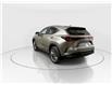 2026 Lexus NX 350h  (Stk: 15105585) in Richmond Hill - Image 5 of 20