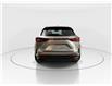 2026 Lexus NX 350h  (Stk: 15105585) in Richmond Hill - Image 6 of 20