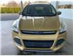 2014 Ford Escape SE (Stk: P0467A) in Port Alberni - Image 2 of 22