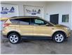 2014 Ford Escape SE (Stk: P0467A) in Port Alberni - Image 3 of 22