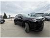 2023 Toyota RAV4 Hybrid LE (Stk: AP5396) in Toronto - Image 9 of 25