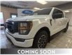 2023 Ford F-150 XLT (Stk: BD77496) in Shellbrook - Image 1 of 16