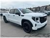 2024 GMC Sierra 1500 Pro (Stk: A2261) in Ottawa - Image 9 of 27