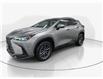2025 Lexus NX 350h Base (Stk: 10U6417) in Markham - Image 4 of 34 2025 Lexus NX 350h Base (Stk: 10U6417) in Markham - Image 4 of 34
