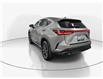 2025 Lexus NX 350h Base (Stk: 10U6417) in Markham - Image 6 of 34 2025 Lexus NX 350h Base (Stk: 10U6417) in Markham - Image 6 of 34