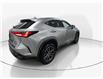 2025 Lexus NX 350h Base (Stk: 10U6417) in Markham - Image 8 of 34 2025 Lexus NX 350h Base (Stk: 10U6417) in Markham - Image 8 of 34