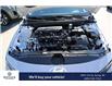 2025 Hyundai Elantra Preferred (Stk: TG172924A) in Vancouver - Image 6 of 14