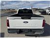 2024 Ford F-150 XLT (Stk: KE05393K) in Cranbrook - Image 4 of 20