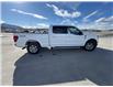 2024 Ford F-150 XLT (Stk: KE05393K) in Cranbrook - Image 7 of 20