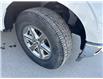 2024 Ford F-150 XLT (Stk: KE05393K) in Cranbrook - Image 13 of 20