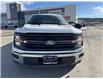 2024 Ford F-150 XLT (Stk: KE05393K) in Cranbrook - Image 15 of 20