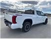 2023 Toyota Tundra SR5 (Stk: X053166A) in Cranbrook - Image 6 of 19