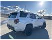 2026 Toyota 4Runner Base (Stk: 5095536) in Cranbrook - Image 5 of 22