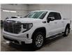 2024 GMC Sierra 1500 Denali (Stk: T3433A) in Watrous - Image 5 of 48