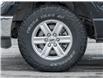 2021 Ford F-150 XLT (Stk: P1069) in Mississauga - Image 6 of 11
