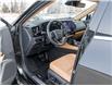 2024 Lexus NX 350h  (Stk: 15105575A) in Richmond Hill - Image 9 of 29