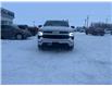 2024 Chevrolet Silverado 1500 LT (Stk: 25P074) in Wadena - Image 3 of 15