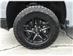 2024 Chevrolet Silverado 1500 Custom Trail Boss (Stk: S2759) in Cornwall - Image 29 of 29