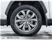2025 Toyota RAV4 Hybrid XLE (Stk: 256452) in Milton - Image 4 of 27