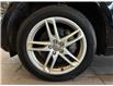 2015 Audi Q5 3.0T Technik (Stk: 250375A) in Mississauga - Image 16 of 16