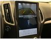 2023 Ford Edge SEL (Stk: 43616J) in Belleville - Image 20 of 26