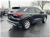 2024 Ford Escape Active (Stk: TL35977) in Windsor - Image 6 of 26