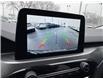 2024 Ford Escape Active (Stk: TL35977) in Windsor - Image 25 of 26