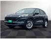 2022 Ford Escape SE (Stk: TR24667) in Windsor - Image 2 of 28