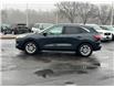 2022 Ford Escape SE (Stk: TR24667) in Windsor - Image 3 of 28