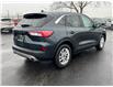 2022 Ford Escape SE (Stk: TR24667) in Windsor - Image 7 of 28