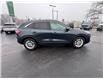 2022 Ford Escape SE (Stk: TR24667) in Windsor - Image 8 of 28