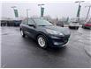 2022 Ford Escape SE (Stk: TR24667) in Windsor - Image 10 of 28