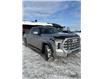 2024 Toyota Tundra Platinum (Stk: 1906) in Ottawa - Image 2 of 5